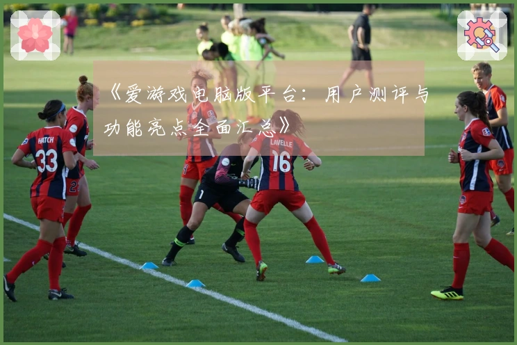 《爱游戏电脑版平台：用户测评与功能亮点全面汇总》